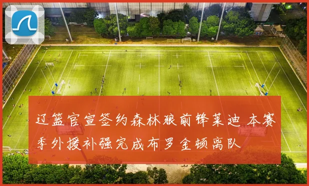 辽篮官宣签约森林狼前锋莱迪 本赛季外援补强完成布罗金顿离队
