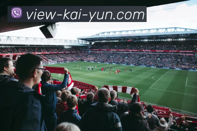 开云平台展示图