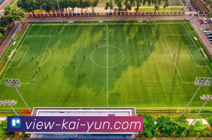 开云官网全站App